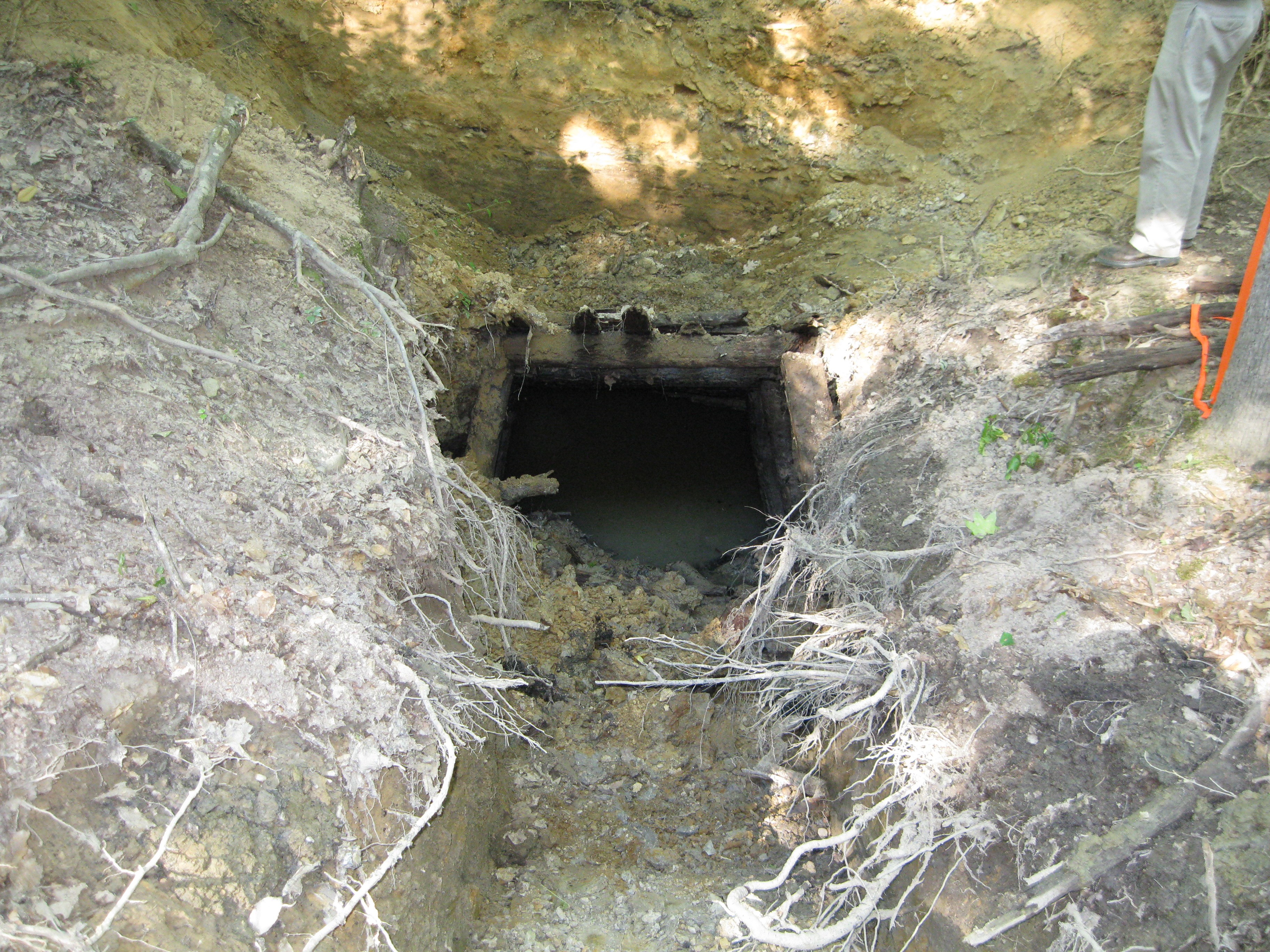 Reclaimed mined lands picture