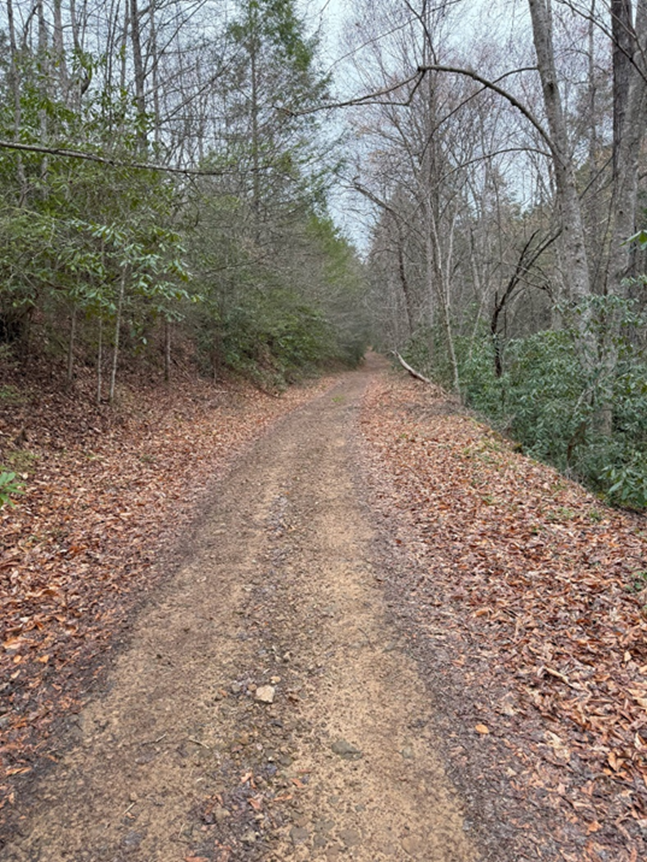 Real McCoy Cabins Expansion Picture