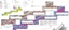 Open-file report 2026-12: Phase III of the karst derivative project along the I-81 corridor, Virginia