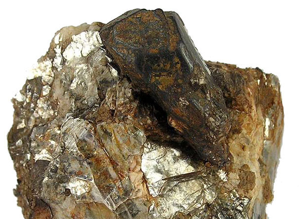 A columbite crystal (dark) with mica