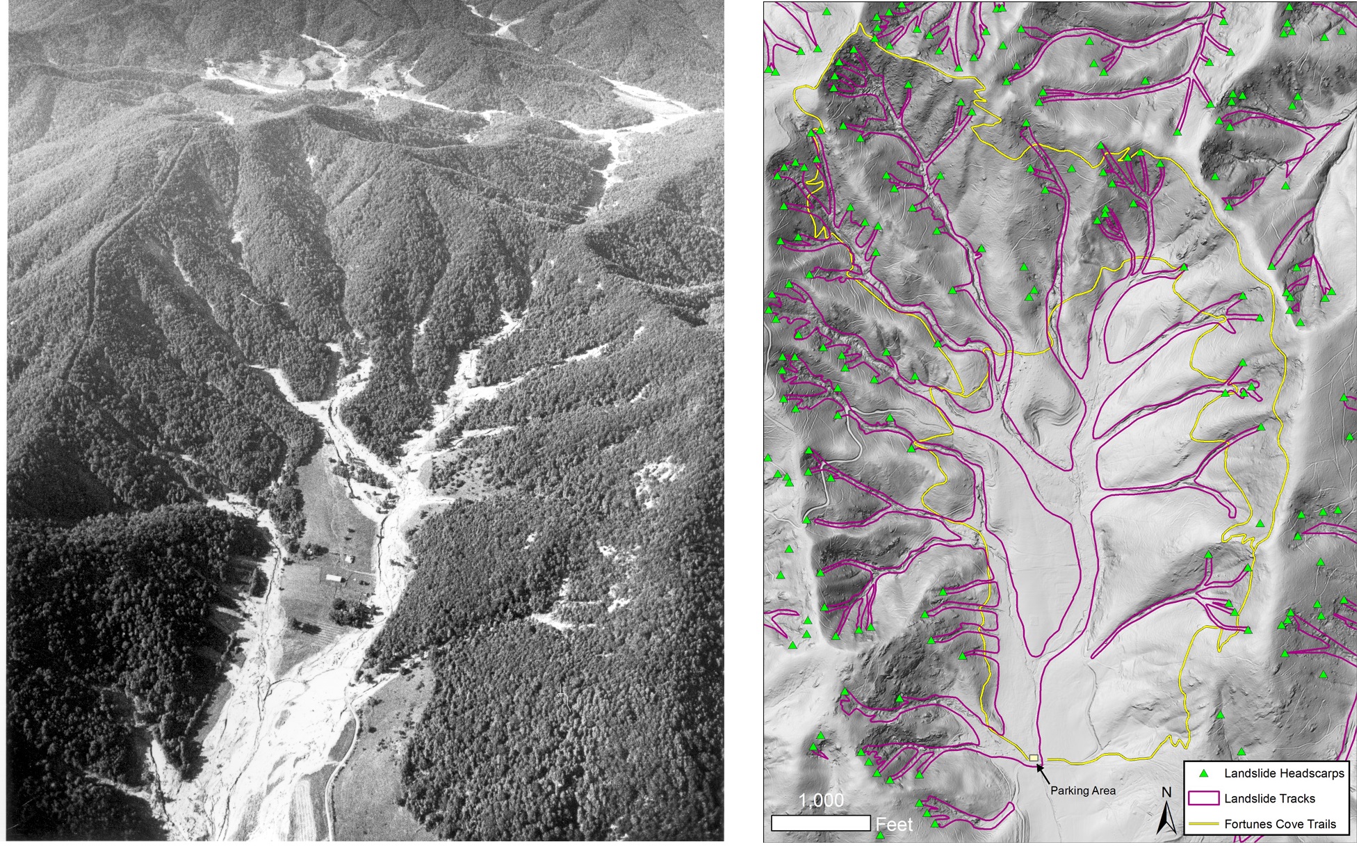 Left: An aerial view of Fortune's Cove taken days after Hurricane Camille. View to the north. Right: Landslide features in Fortune’s Cove, as they appear on the 2016 LiDAR basemap