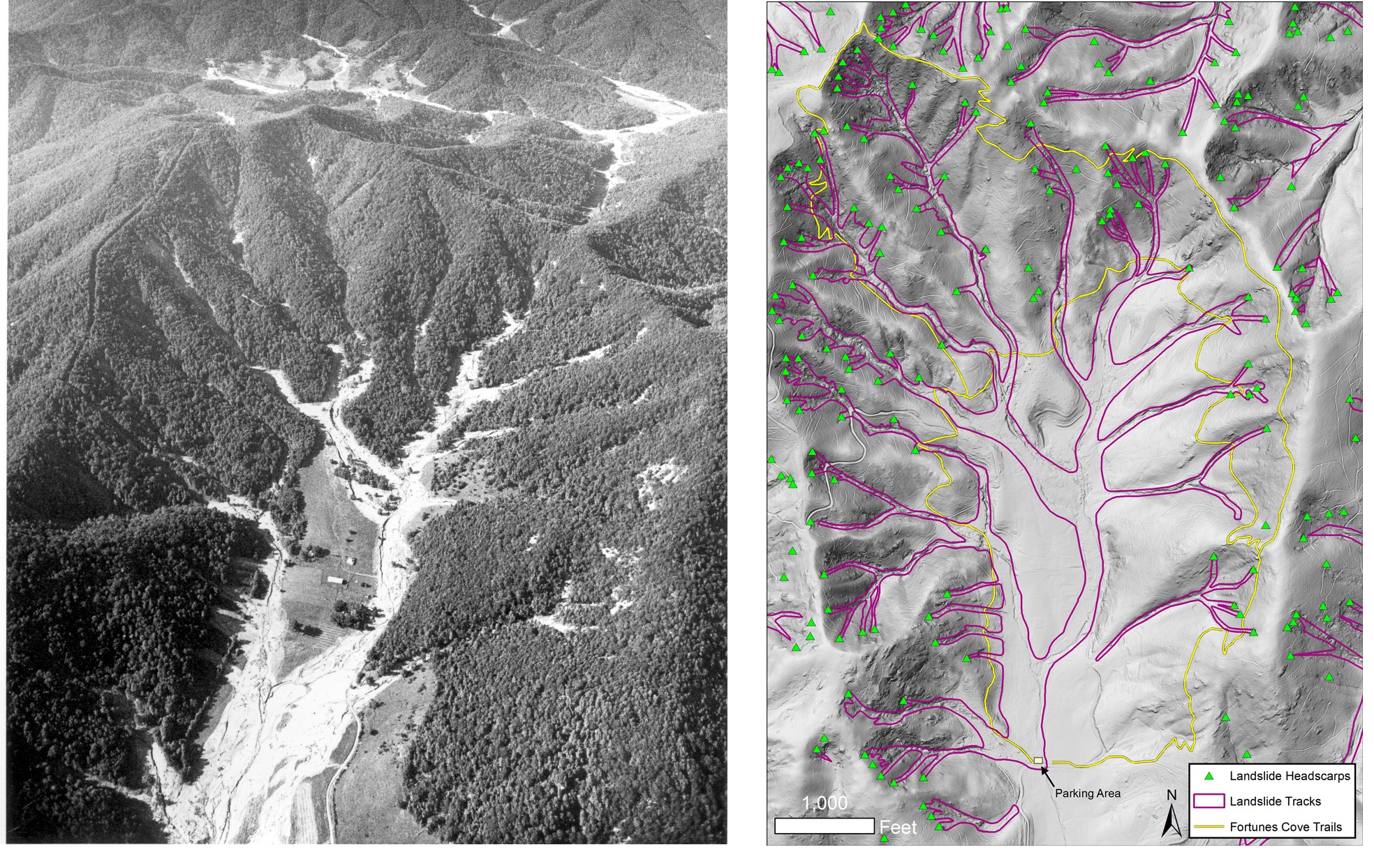 Left: An aerial view of Fortune's Cove taken days after Hurricane Camille. View to the north. Right: Landslide features in Fortune's Cove, as they appear on the 2016 LiDAR basemap