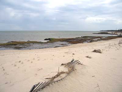 Shoreline erosion at New Haven beach, Virginia