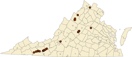 Lead mines and prospects in Virginia