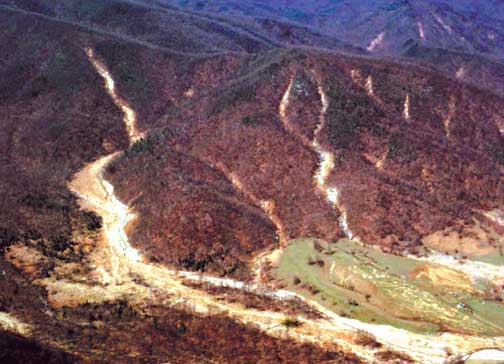 Debris flow chutes in Madison County, Virginia