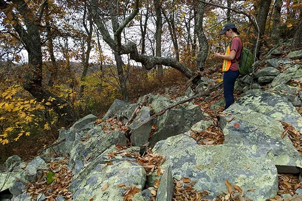 Virginia Energy - Geology and Mineral Resources - Minerals of Virginia