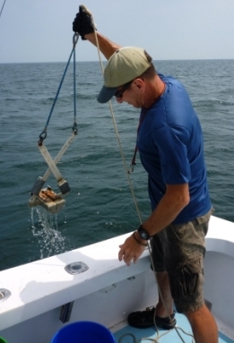 Billy Lassetter collecting a sediment surface grab sample offshore of Virginia for further analyses