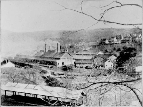 austinville mines